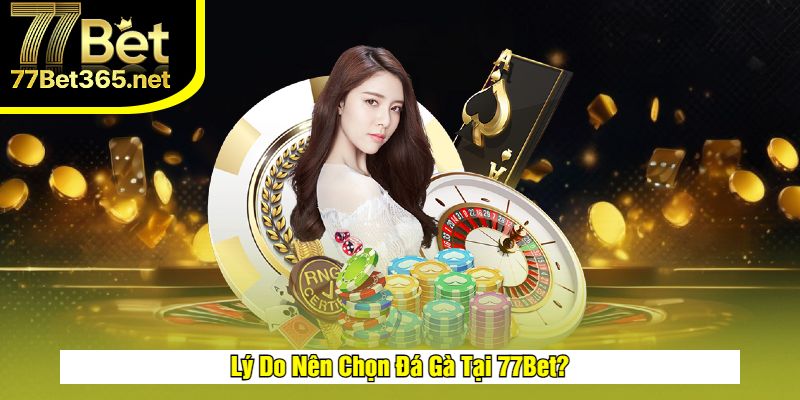 Lý do nên thử Đá Gà 77Bet ngay hôm nay