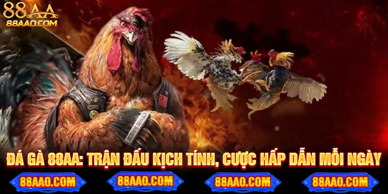Đá Gà 88AA: Trải nghiệm cược hấp dẫn, livestream chất lượng