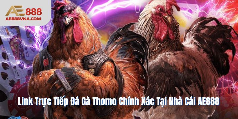 link-truc-tiep-da-ga-thomo-anh-dai-dien