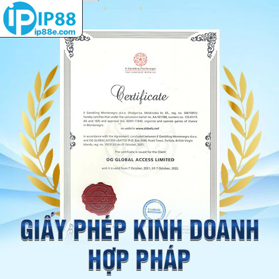 giấy phép kinh doanh