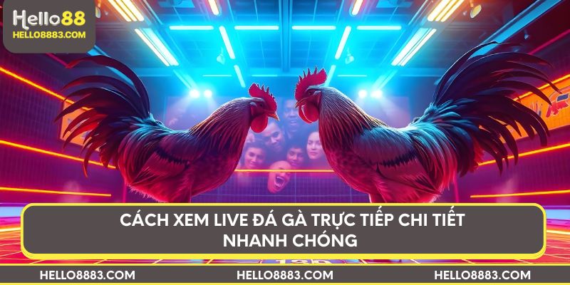 Cách xem live đá gà trực tiếp chi tiết nhanh chóng 